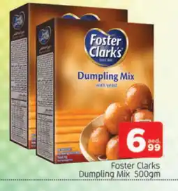 Al Madina FOSTER CLARKS Dumpling Mix offer