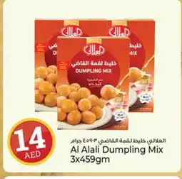 Kenz Hypermarket AL ALALI Dumpling Mix offer