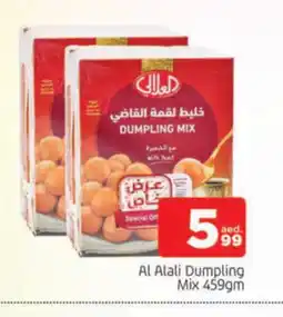 Al Madina AL ALALI Dumpling Mix offer