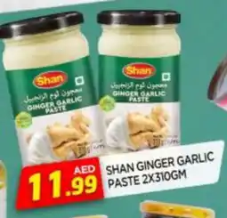 Al Madina SHAN Garlic Paste offer