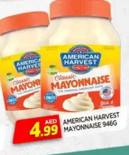 Al Madina AMERICAN CLASSIC Mayonnaise offer