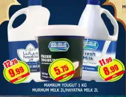 Al Madina MARMUM Fresh Milk offer