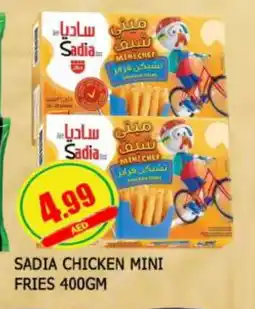 Al Madina SADIA Chicken Bites offer