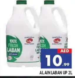 Al Madina AL AIN Laban offer