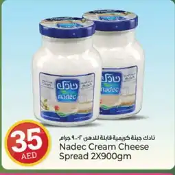 Kenz Hypermarket NADEC Cream Cheese offer