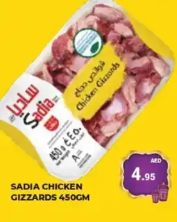 Kerala Hypermarket SADIA Chicken Gizzard offer