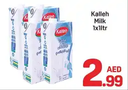 Day To Day Kalleh milk offer