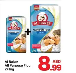 Day To Day Al Baker All Purpose Flour offer