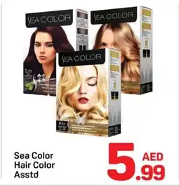 Day To Day Sea color hair color offer