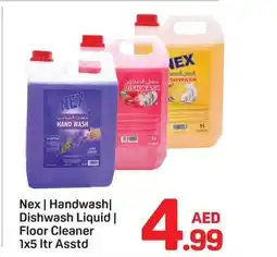 Day To Day Nex handwash dishwash liquid floor cleaner offer