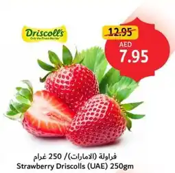 Union Coop Strawberry Driscolls offer