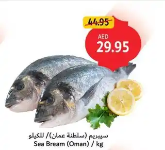 Union Coop Sea Bream offer