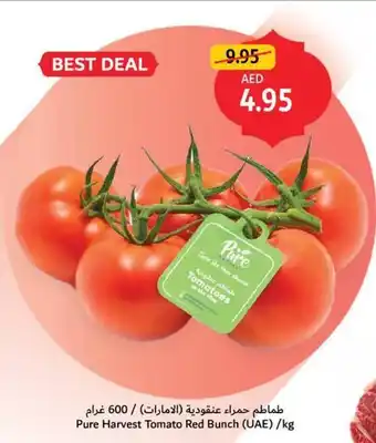 Union Coop Pure harvest tomato red bunch offer