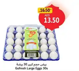 Union Coop Gofresh large eggs 30s offer