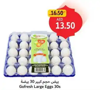 Union Coop Gofresh large eggs 30s offer