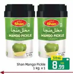 Mango Hypermarket LLC SHAN Pickle offer