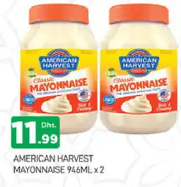 Al Madina AMERICAN HARVEST Mayonnaise offer