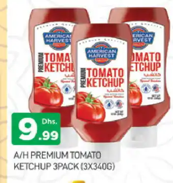 Al Madina AMERICAN HARVEST Tomato Ketchup offer