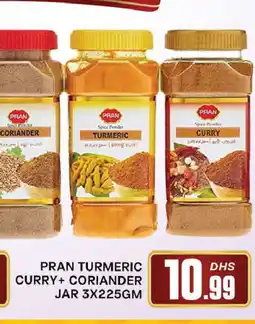 Al Madina PRAN Spices / Masala offer