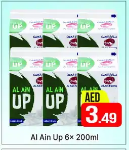 Al Madina AL AIN Laban offer