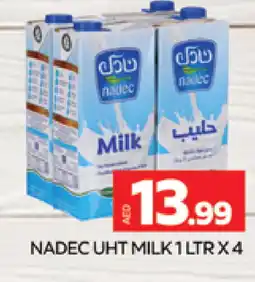 Al Madina NADEC Long Life / UHT Milk offer