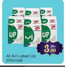 Al Madina AL AIN Laban offer