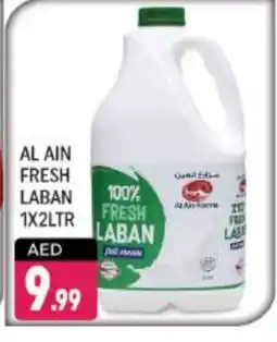 Shaklan AL AIN Laban offer