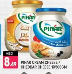 Shaklan PINAR Cheddar Cheese offer