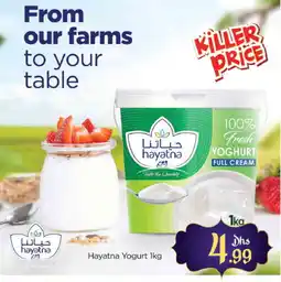 Al Madina HAYATNA Yoghurt offer