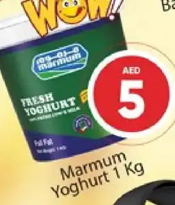 Al Madina MARMUM Yoghurt offer