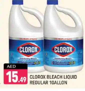 Shaklan CLOROX Bleach offer