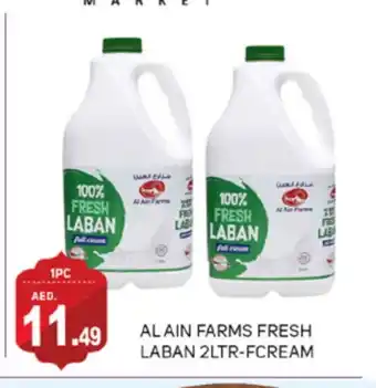 Talal Market AL AIN Laban offer