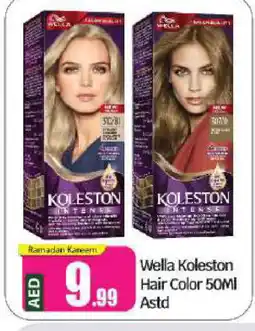 Bigmart WELLA Hair Colour offer