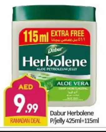 Bigmart DABUR Petroleum Jelly offer