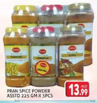 Palm Centre PRAN Spices / Masala offer