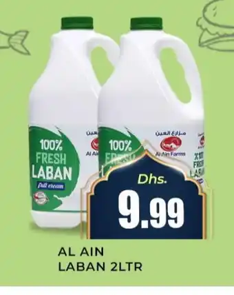 Meena Al Madina Hypermarket AL AIN Laban offer