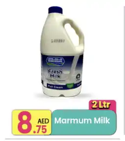 Everyday Center MARMUM Full Cream Milk offer