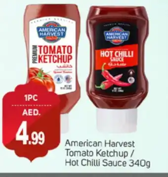 Talal Market AMERICAN HARVEST Tomato Ketchup offer