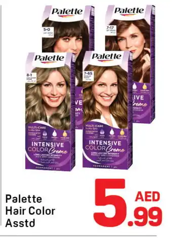 Day To Day PALETTE Hair Colour offer