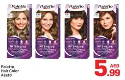 Day To Day PALETTE Hair Colour offer