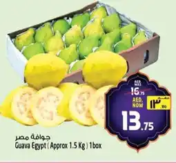 Safari Hypermarket Guava Egypt offer