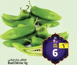 Safari Hypermarket Broad Chilli Iran offer