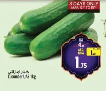 Safari Hypermarket Cucumber offer