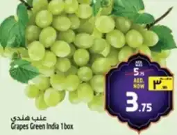 Safari Hypermarket Grapes Green offer