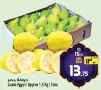 Safari Hypermarket Guava offer