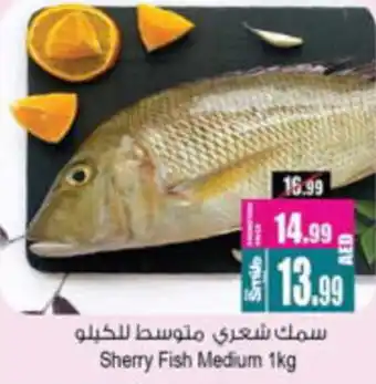 Ansar Mall Sherry Fish Medium offer