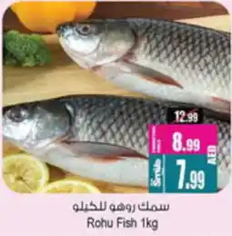 Ansar Mall Rohu Fish offer