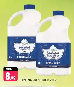 Shaklan HAYATNA Full Cream Milk offer