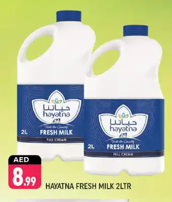 Shaklan HAYATNA Full Cream Milk offer