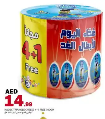 Rawabi Market NADEC Triangle Cheese offer